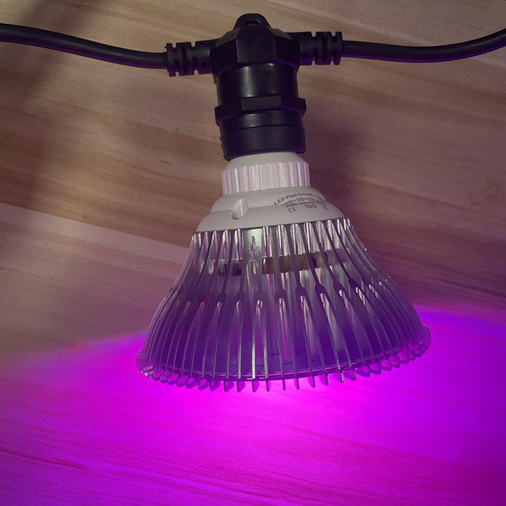 10M Cable LED String Commercia - Outdoor Lighting Quality review and price