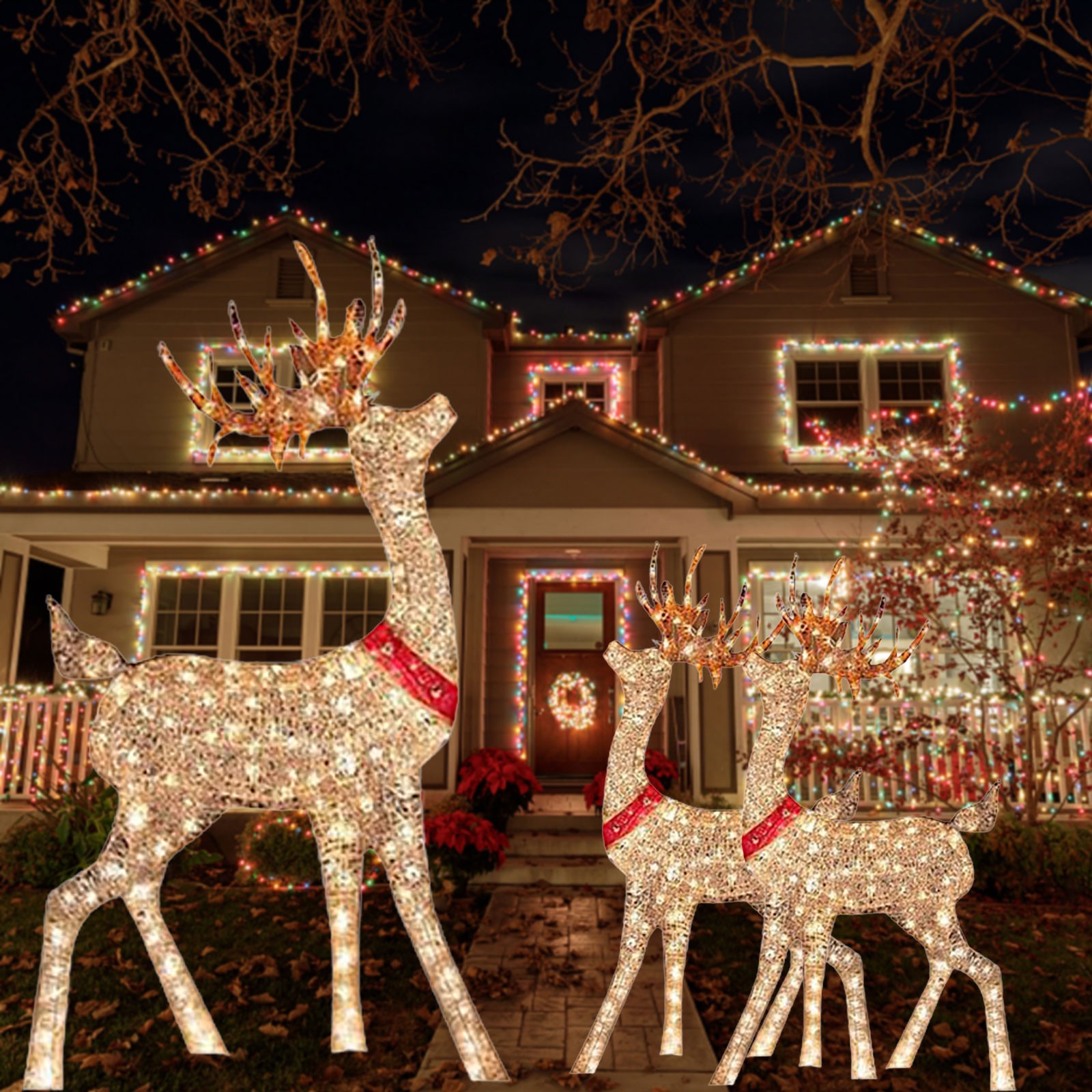 Lighted Christmas Decoration D - Outdoor Lighting Event review and price