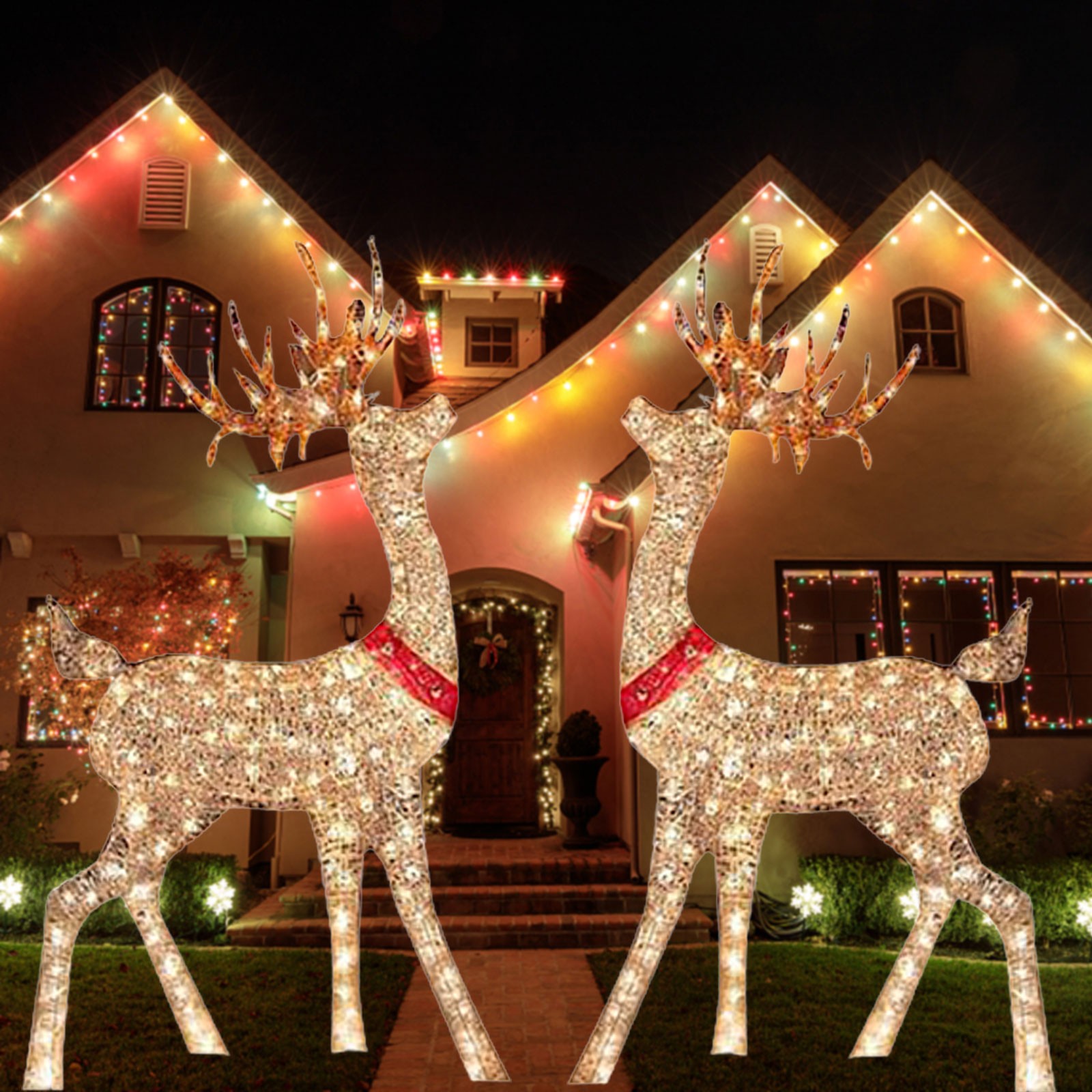 Lighted Christmas Decoration D - Outdoor Lighting Event review and price