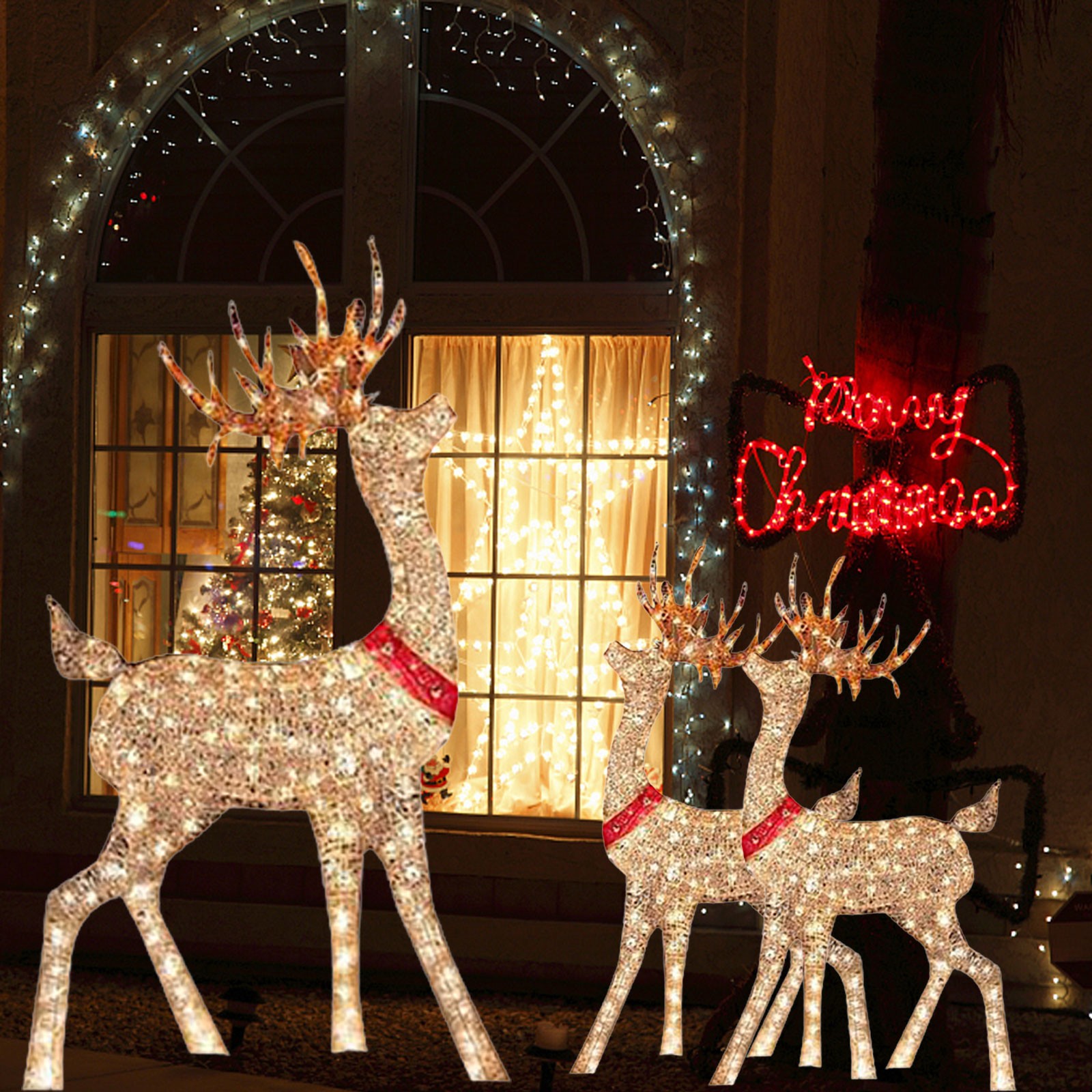 Lighted Christmas Decoration D - Outdoor Lighting Event review and price