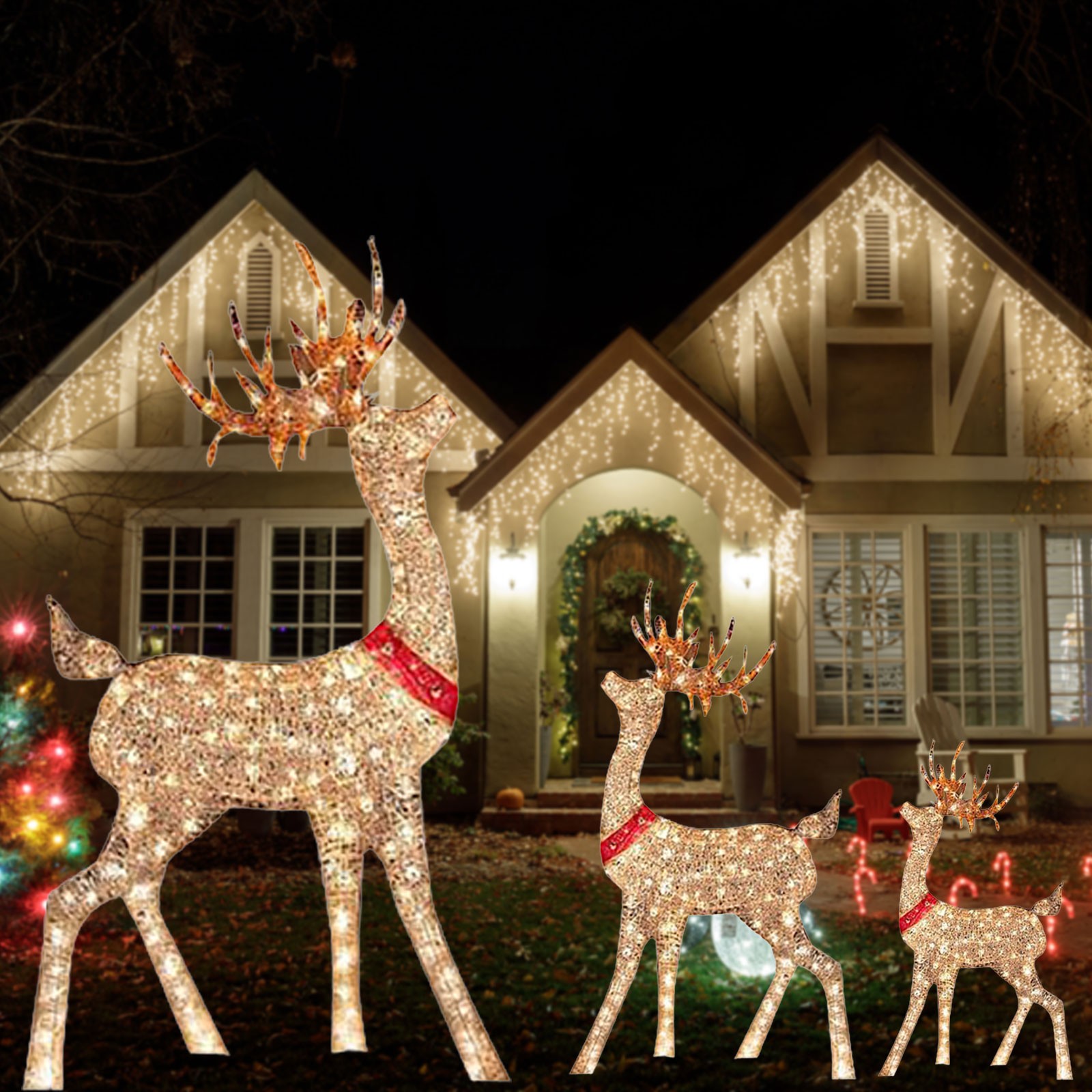 Lighted Christmas Decoration D - Outdoor Lighting Event review and price