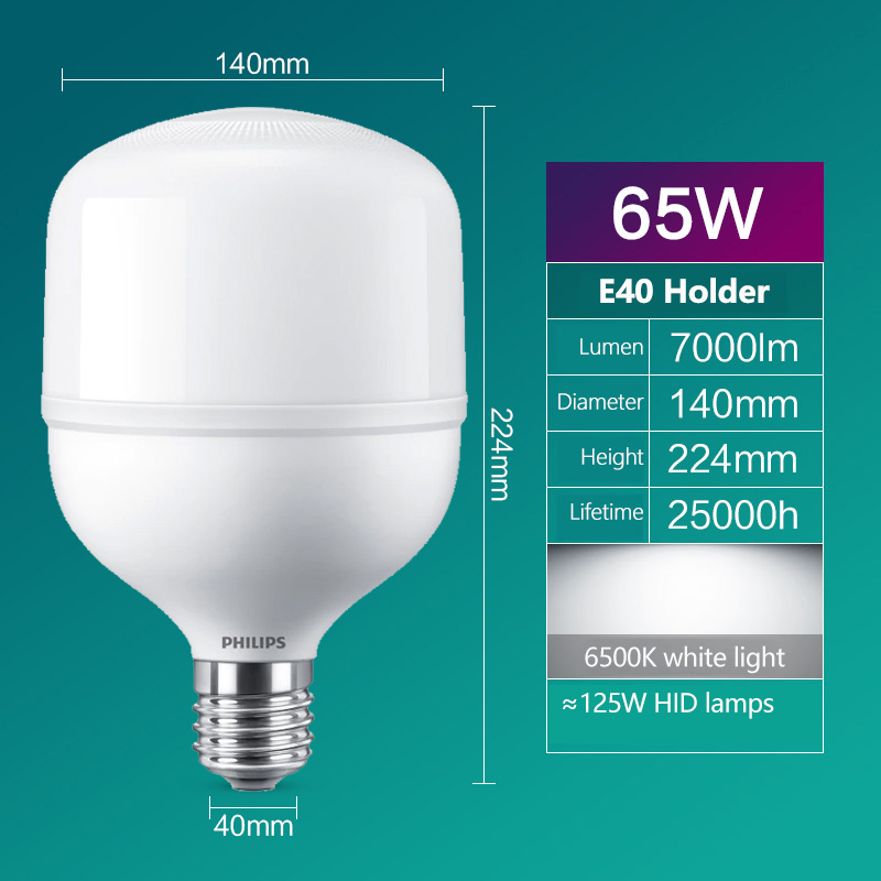 Philips LED T160 Bulb E40 65W  - Outdoor Lighting Warehouse review and price
